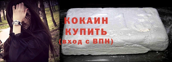 индика Козельск