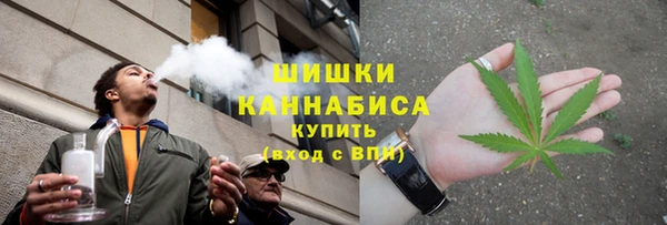 индика Козельск