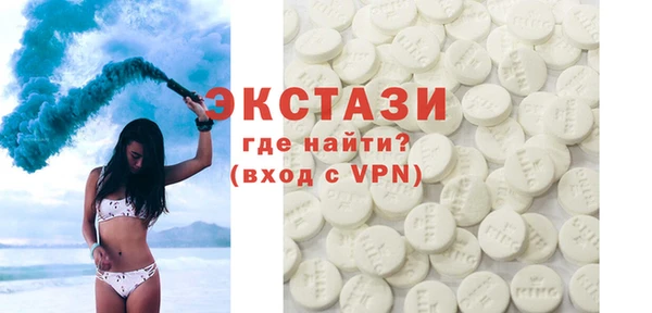 индика Козельск