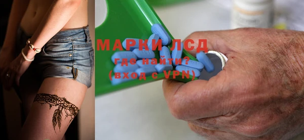 индика Козельск