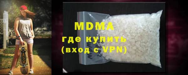 индика Козельск