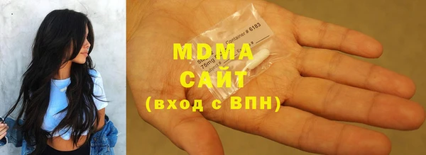 индика Козельск