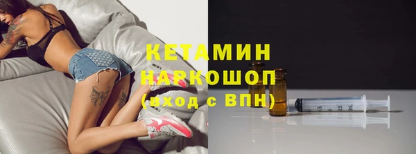 индика Козельск