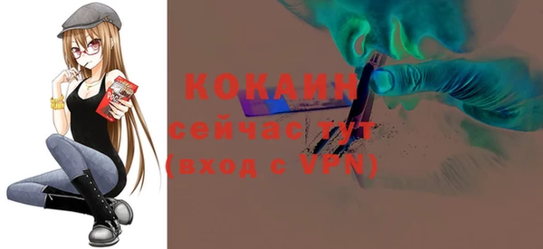 mdpv Козловка