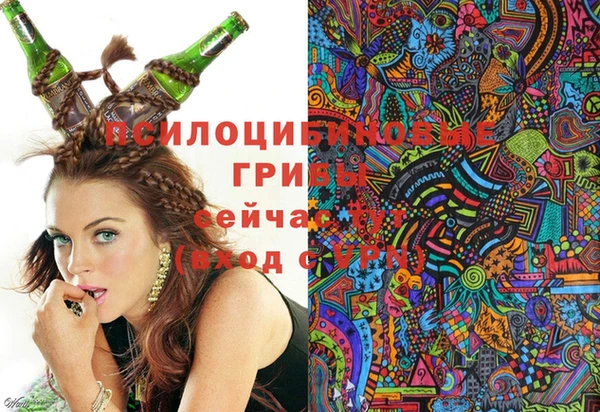 mdpv Козловка