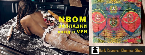 индика Козельск