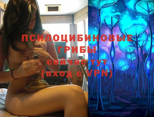 индика Козельск