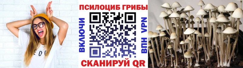 Галлюциногенные грибы Cubensis  Магас 